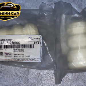 TĂM BÔNG TRƯỚC HYUNDAI SANTAFE 2010 ,KIA SORENTO 2010 | 546262B000